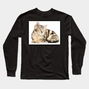 I love cats Long Sleeve T-Shirt